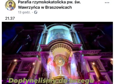 Dopłynęliśmy do brzegu