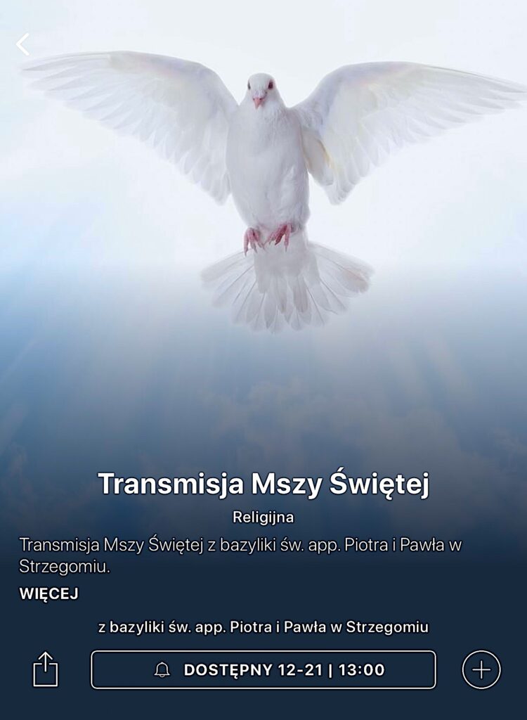 Msza św ze Strzegomia w