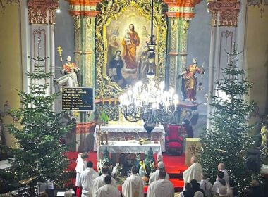 Pawełki w Świdnicy