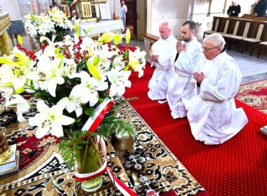 Przygotowanie dla nowych nadzwyczajnych