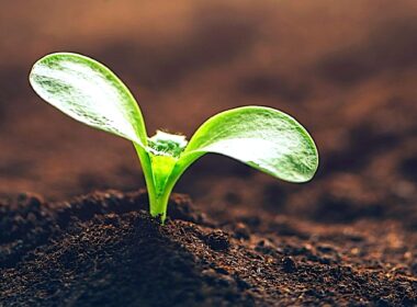 Odnów swoją wiarę