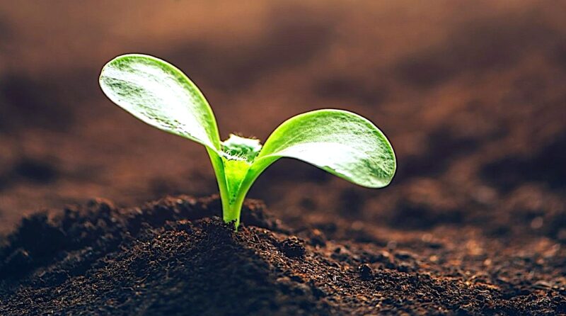 Odnów swoją wiarę