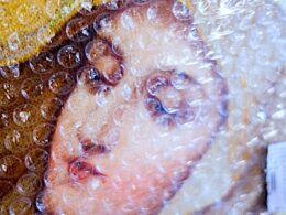 Matka Boża jest z powrotem