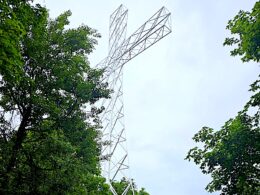 Pielgrzymka w obronie