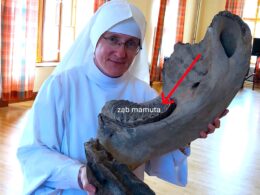 Podróż w czasie i przestrzeni