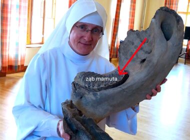 Podróż w czasie i przestrzeni