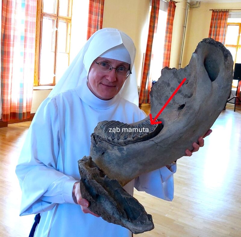 Podróż w czasie i przestrzeni