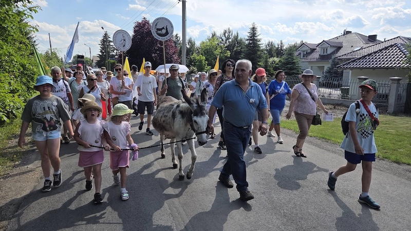 Pielgrzymi i osiołki na