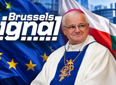Brussels Signal stawia głos biskupa