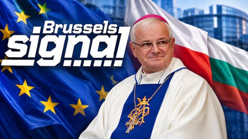 Brussels Signal stawia głos biskupa